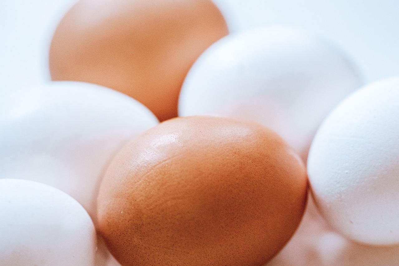 Proteína Diaria: Cuánta Necesitas y Cómo Distribuirla